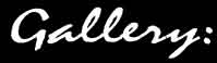 Gallery Logo